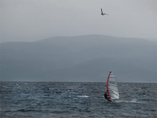 Kliknite da vidite sliku u punoj veli�ini