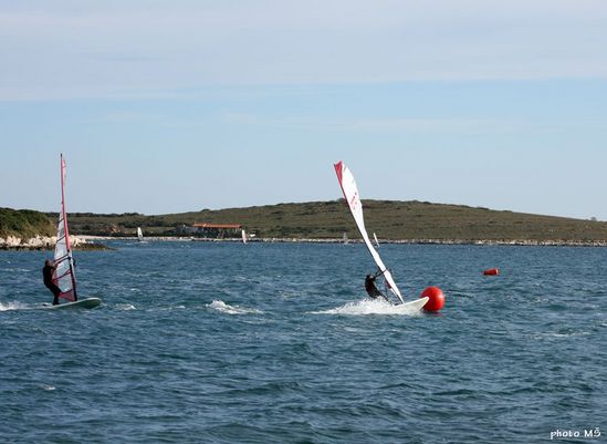 Kliknite da vidite sliku u punoj veli�ini