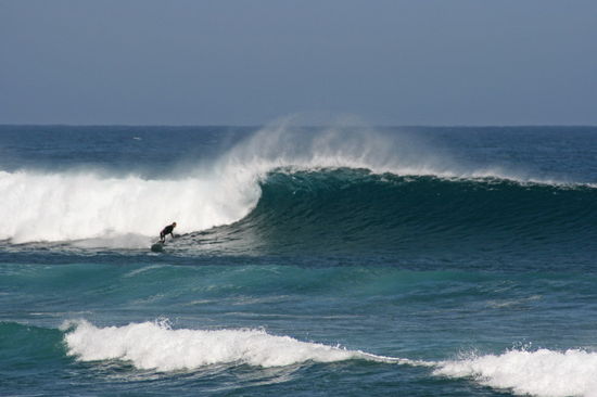 Kliknite da vidite sliku u punoj veli�ini