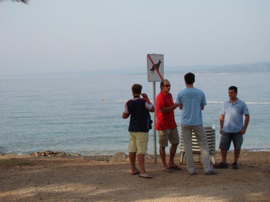 Kliknite da vidite sliku u punoj veli�ini