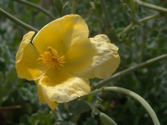 Kliknite da vidite sliku u punoj veli�ini