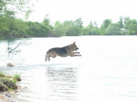 Kliknite da vidite sliku u punoj veli�ini